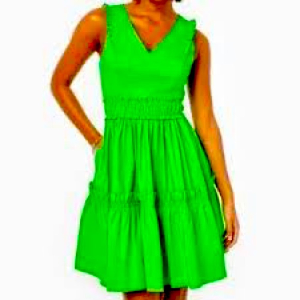 Lilly Pulitzer Celiana Stretch Cotton Dress new